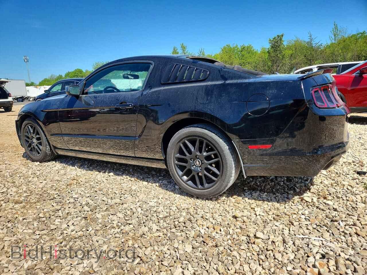 2014 FORD MUSTANG - VIN: 1ZVBP8AM4E5271669 - Фото 2