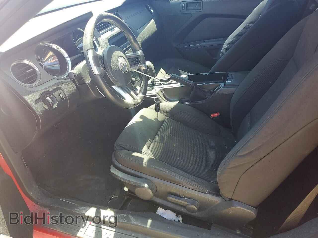 2013 FORD MUSTANG - VIN: 1ZVBP8AM8D5203406 - Фото 7