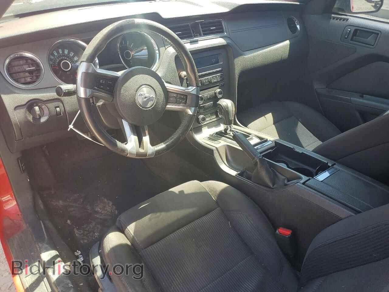 2013 FORD MUSTANG - VIN: 1ZVBP8AM8D5203406 - Фото 8