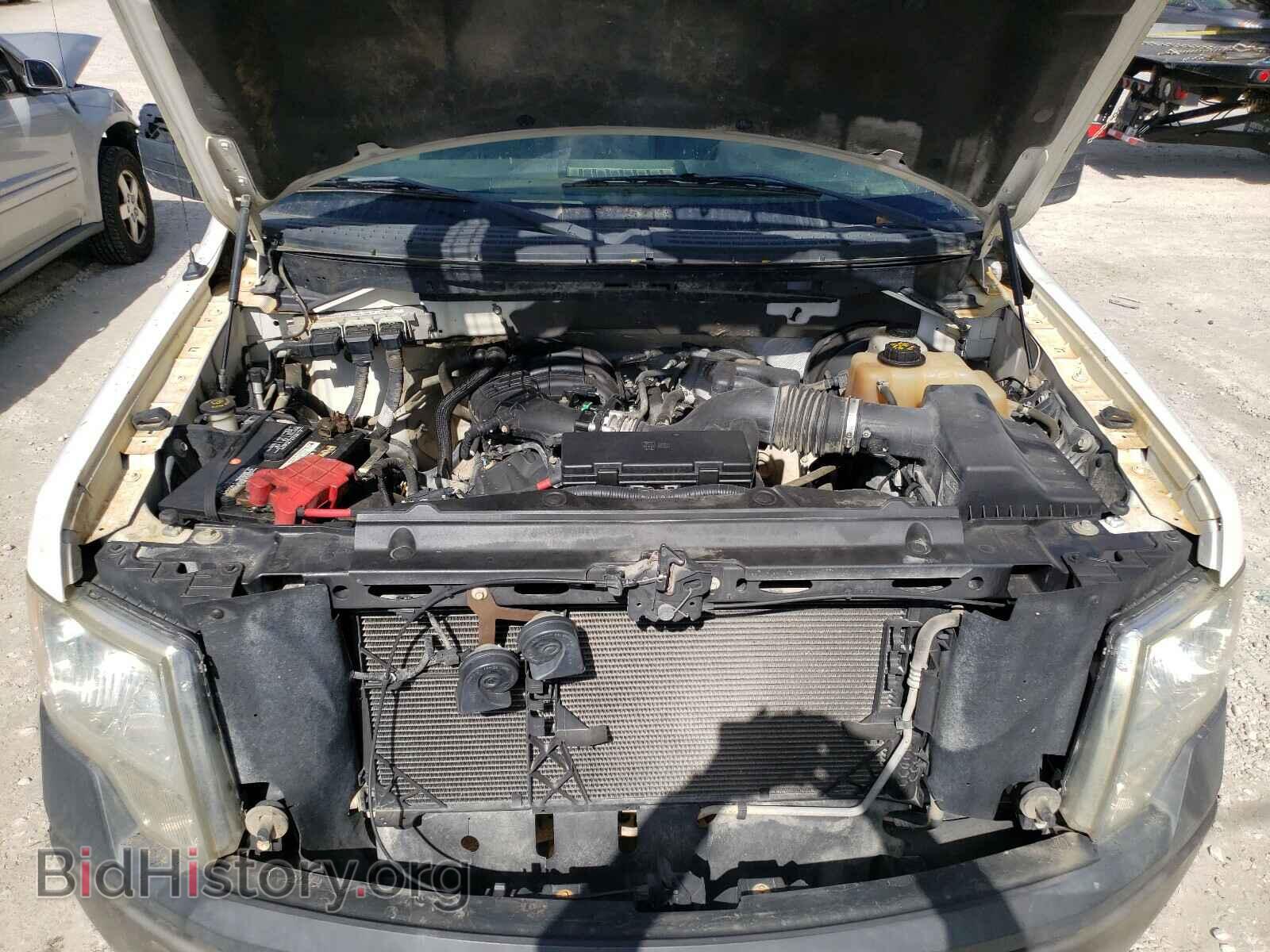 2012 FORD F150 - VIN: 1FTMF1CM7CFB57854 - Фото 7