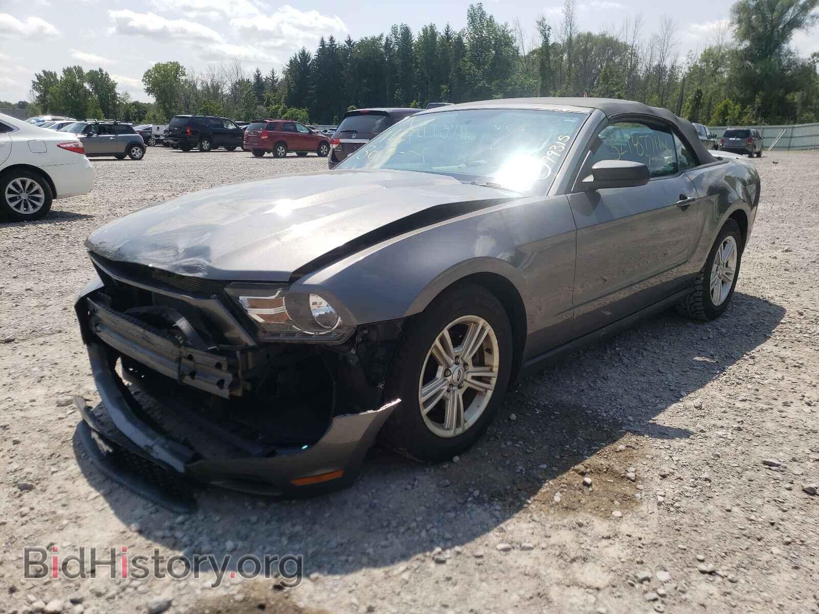 2011 FORD MUSTANG - VIN: 1ZVBP8EM2B5161662 - Фото 2