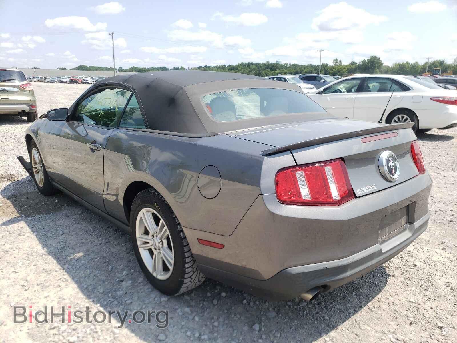 2011 FORD MUSTANG - VIN: 1ZVBP8EM2B5161662 - Фото 3