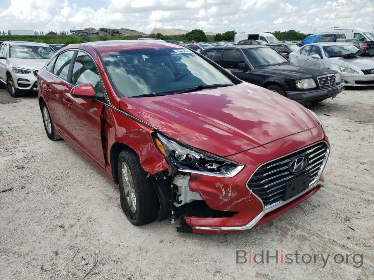 Photo 5NPE24AF7KH802433 - HYUNDAI SONATA 2019