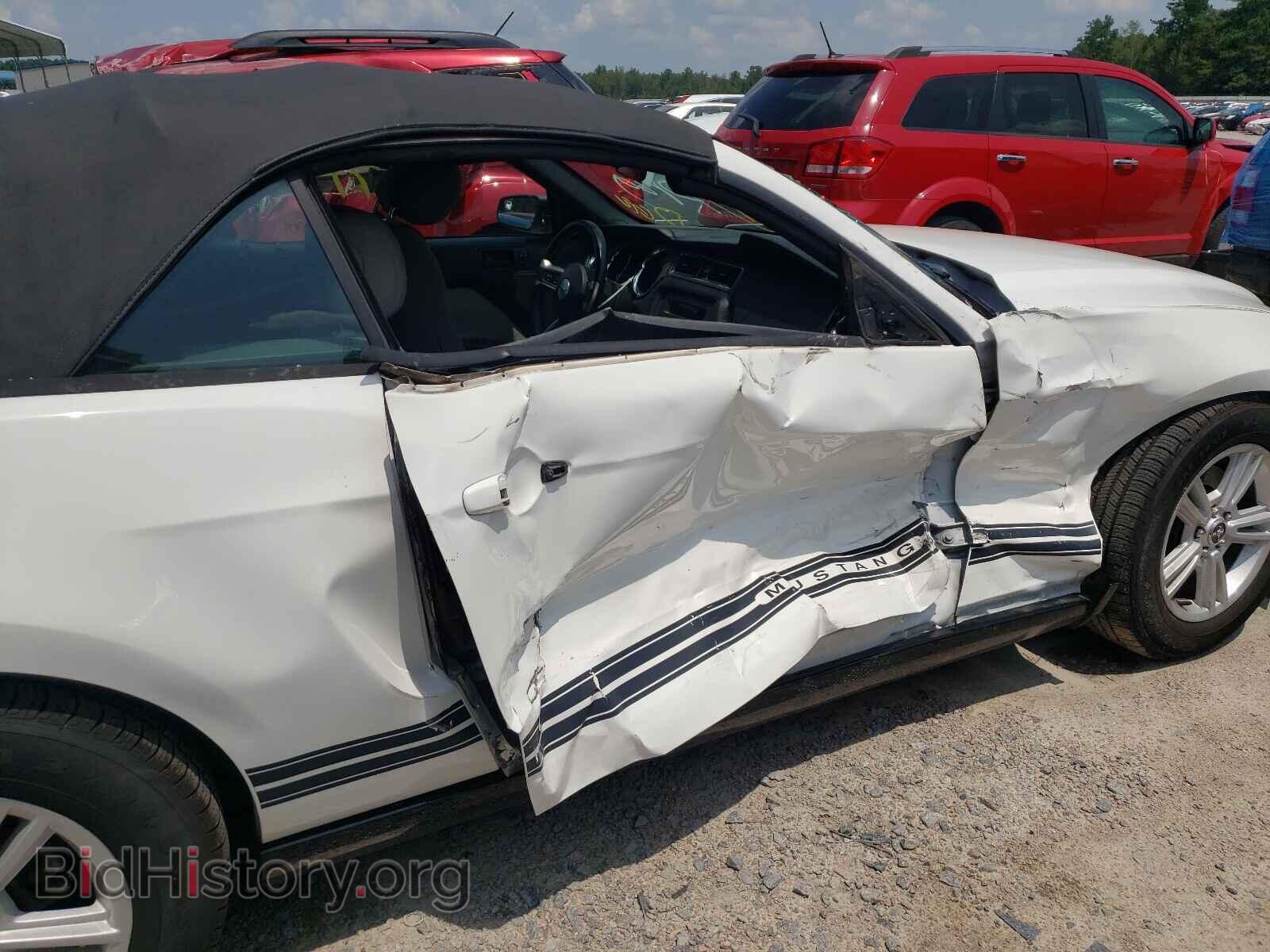 2013 FORD MUSTANG - VIN: 1ZVBP8EM0D5214426 - Фото 9
