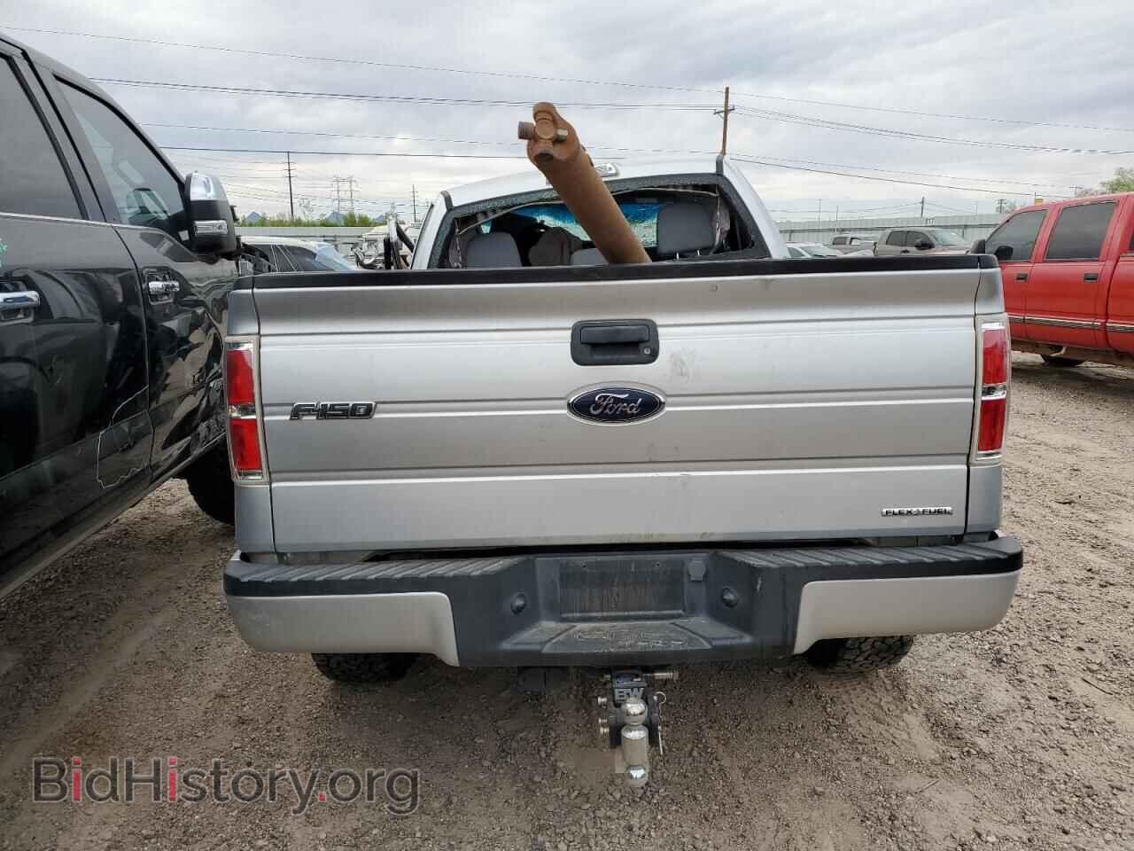 2013 FORD F-150 - VIN: 1FTFX1EF0DFD83059 - Фото 6