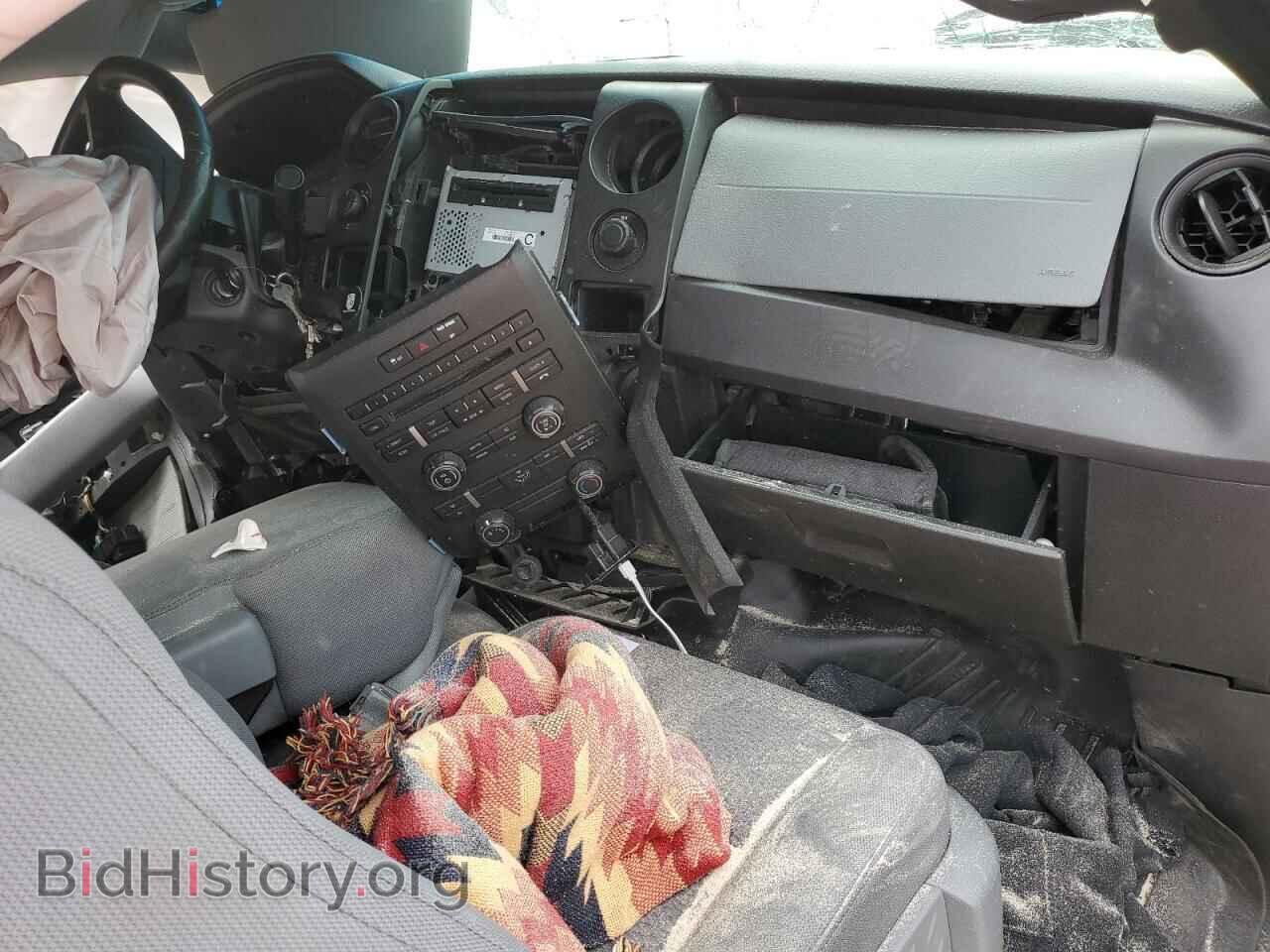 2013 FORD F-150 - VIN: 1FTFX1EF0DFD83059 - Фото 8