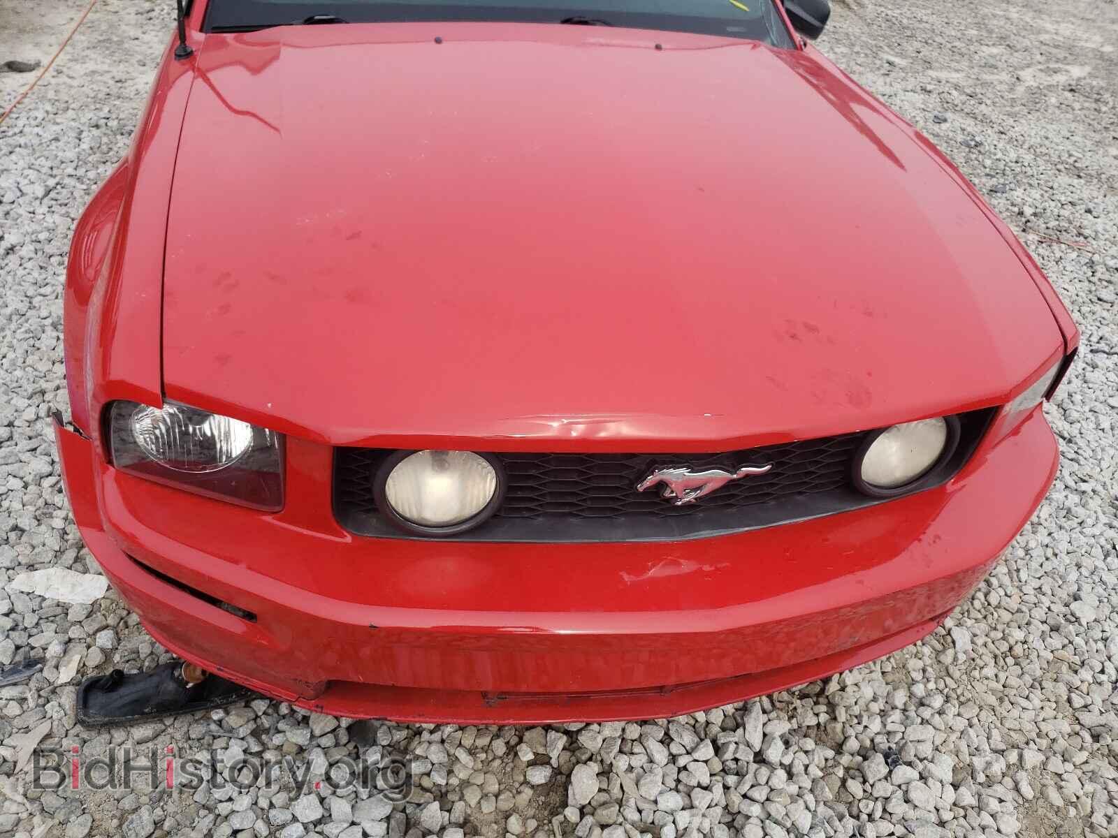 2006 FORD MUSTANG - VIN: 1ZVFT82H565255349 - Фото 7