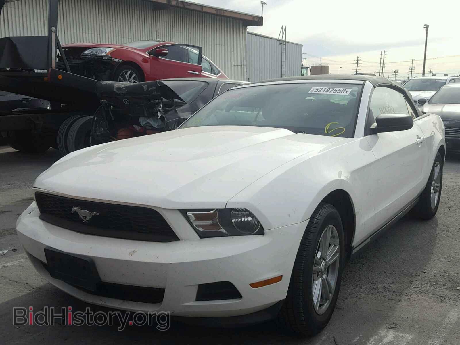 2012 FORD MUSTANG - VIN: 1ZVBP8EM1C5241102 - Фото 2
