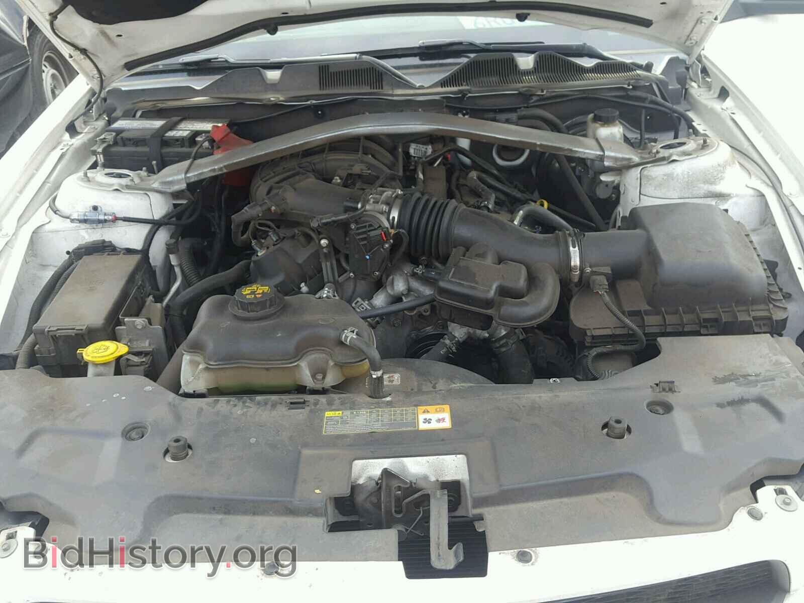 2012 FORD MUSTANG - VIN: 1ZVBP8EM1C5241102 - Фото 7