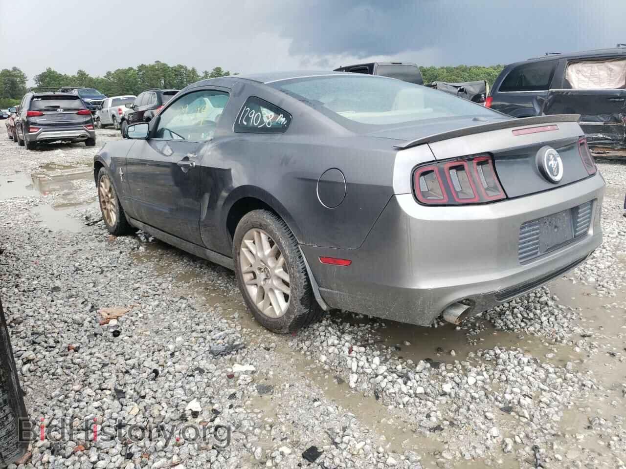 2014 FORD MUSTANG - VIN: 1ZVBP8AM3E5273039 - Фото 3