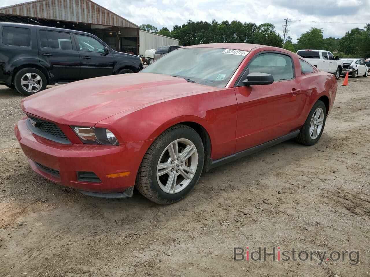 Photo 1ZVBP8AN4A5132676 - FORD MUSTANG 2010