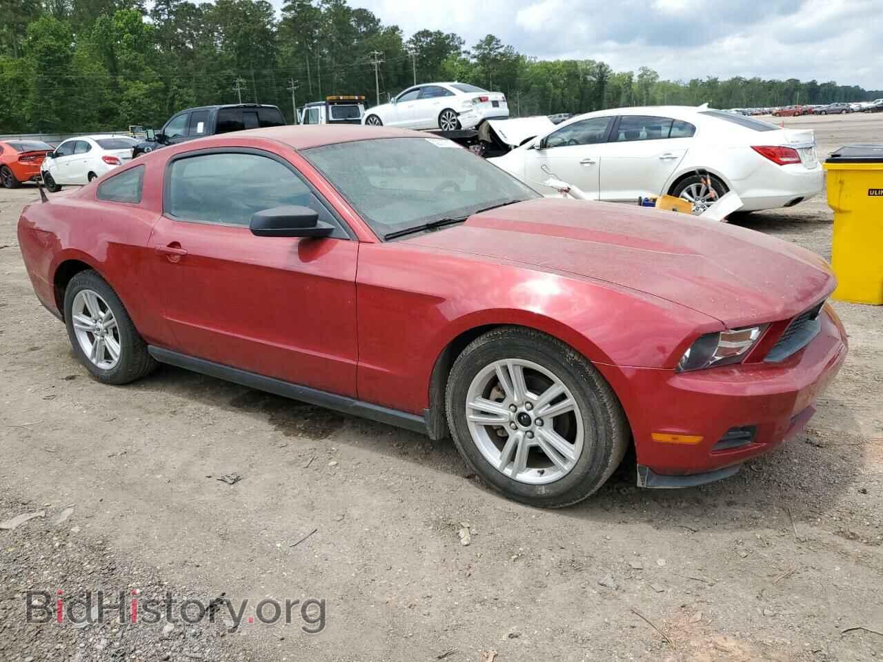 2010 FORD MUSTANG - VIN: 1ZVBP8AN4A5132676 - Фото 4