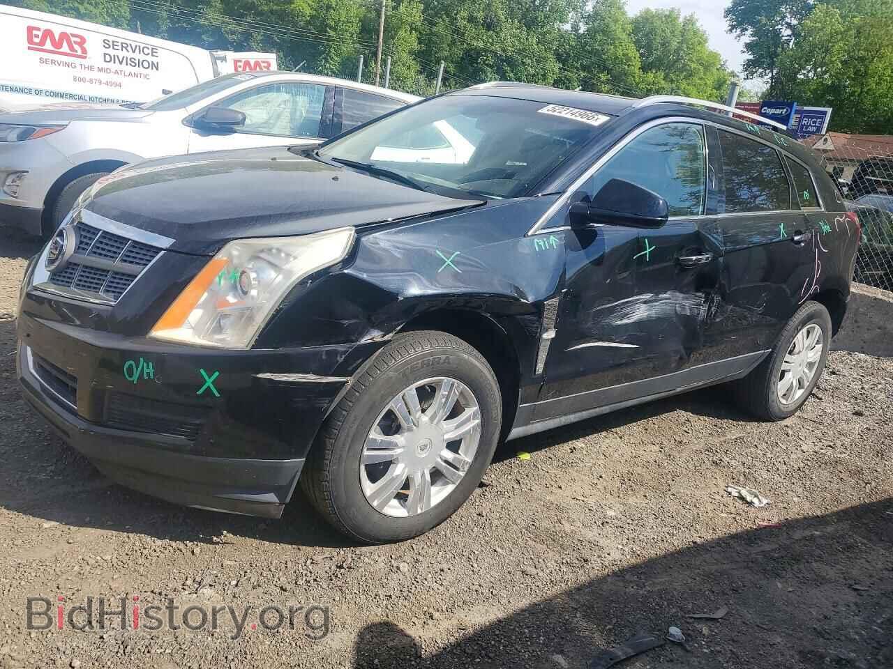 Фотография 3GYFNAEY8BS511977 - CADILLAC SRX 2011