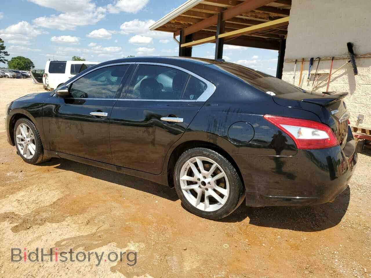 2010 NISSAN MAXIMA - VIN: 1N4AA5AP4AC819044 - Фото 2