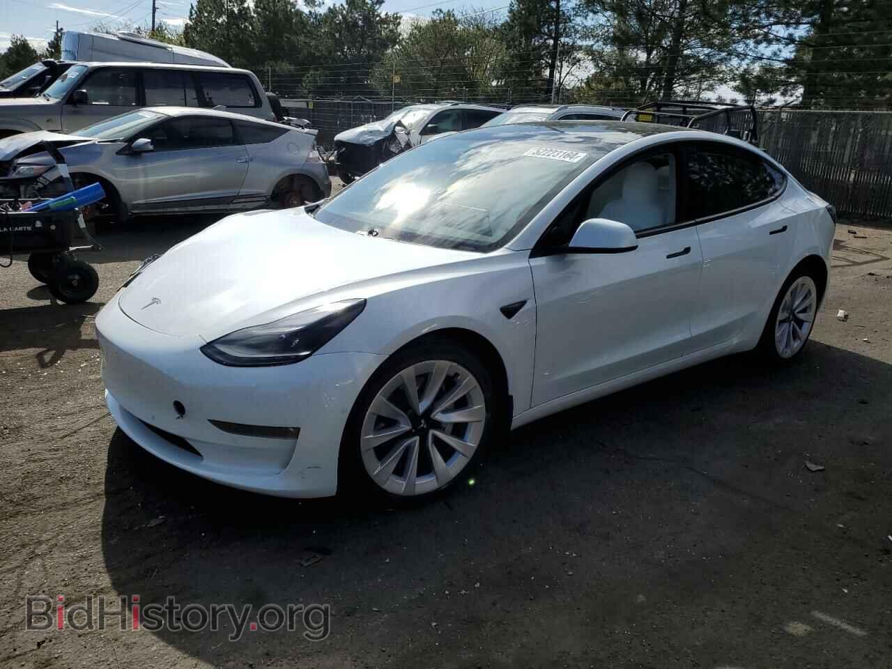Photo 5YJ3E1EB6MF879297 - TESLA MODEL 3 2021