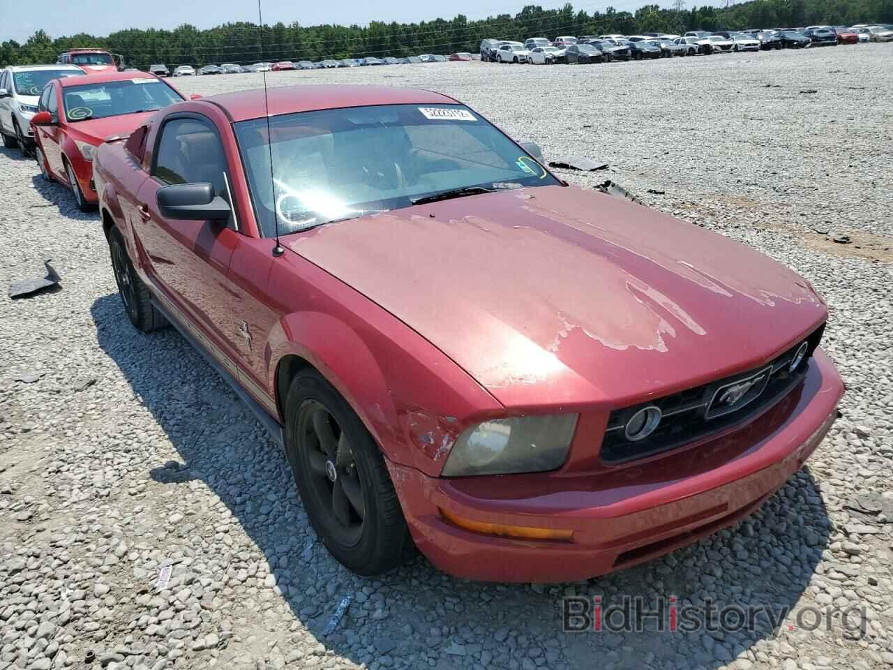 Photo 1ZVHT80N985185181 - FORD MUSTANG 2008