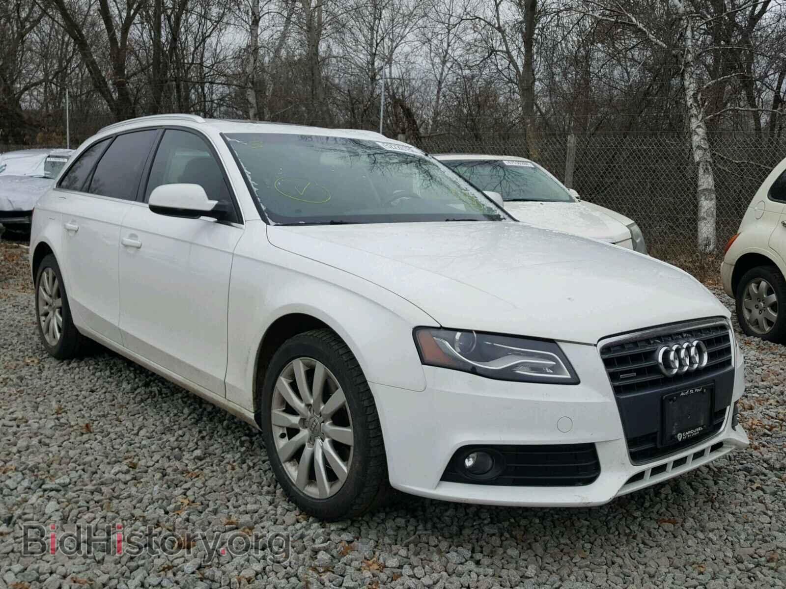Фотография WAUWFAFL8AA124946 - AUDI A4 2010
