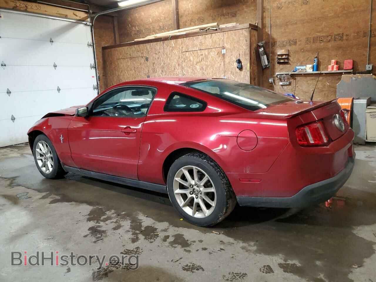 2010 FORD ALL Models - VIN: 1ZVBP8AN3A5158024 - Фото 2