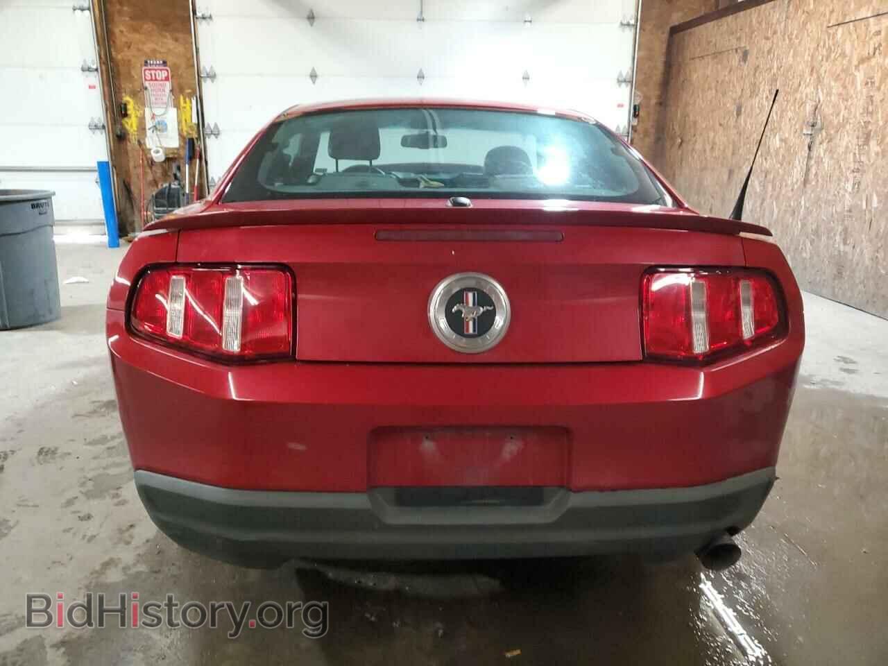 2010 FORD ALL Models - VIN: 1ZVBP8AN3A5158024 - Фото 6