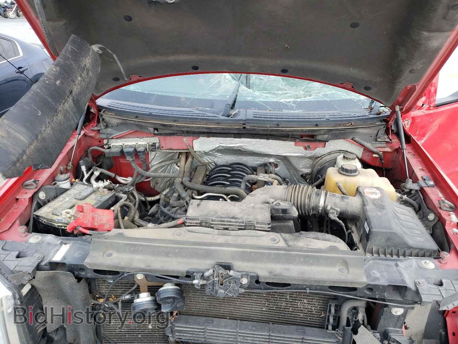2013 FORD F150 - VIN: 1FTMF1CF0DKF78101 - Фото 7