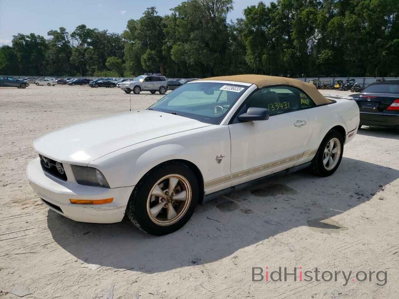 Photo 1ZVHT84N195133944 - FORD MUSTANG 2009
