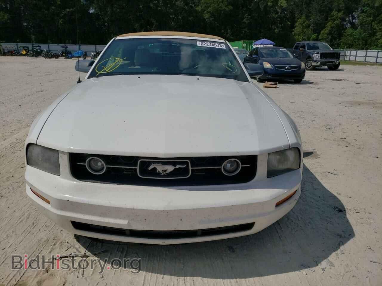 2009 FORD MUSTANG - VIN: 1ZVHT84N195133944 - Фото 5