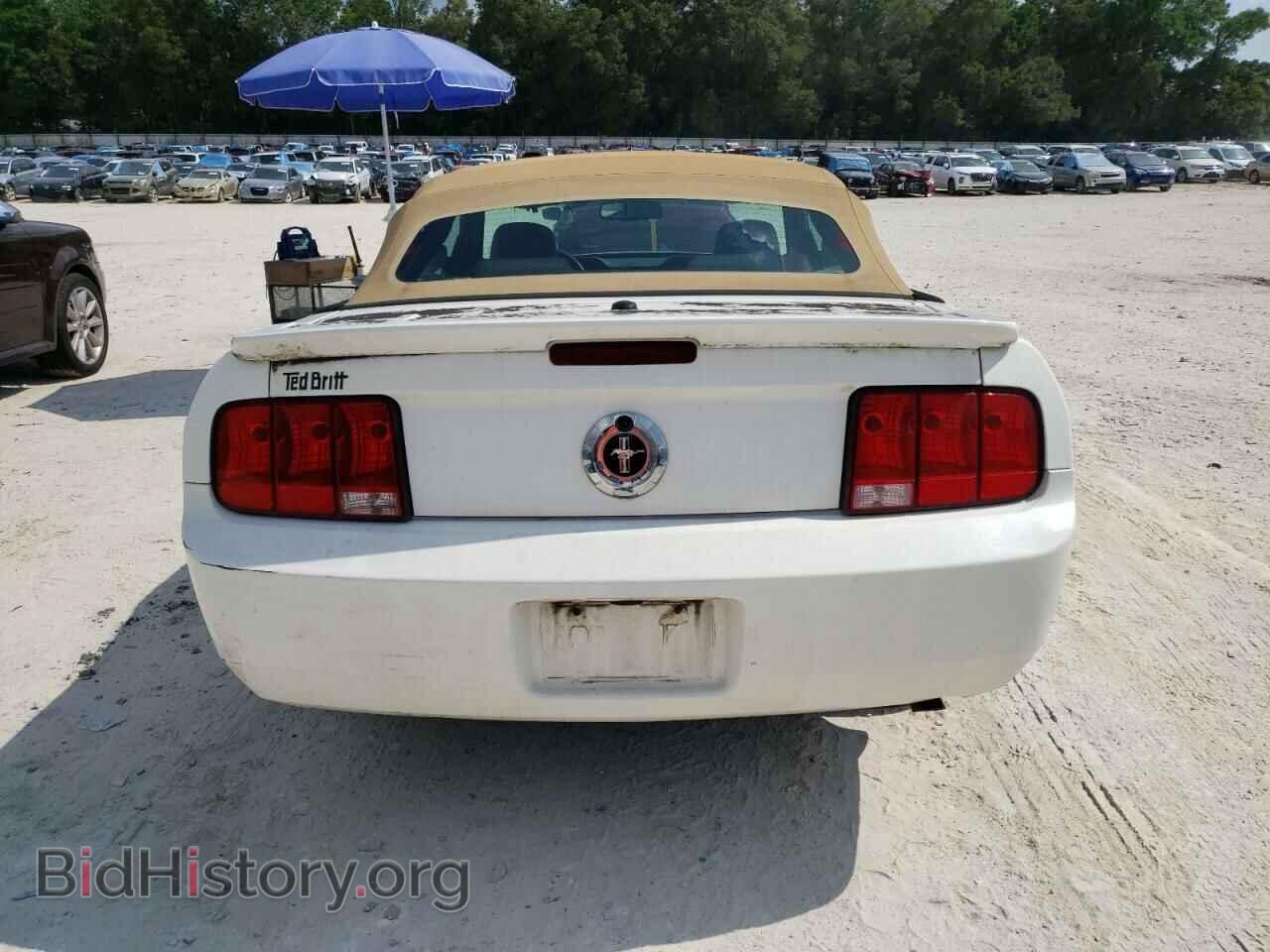2009 FORD MUSTANG - VIN: 1ZVHT84N195133944 - Фото 6
