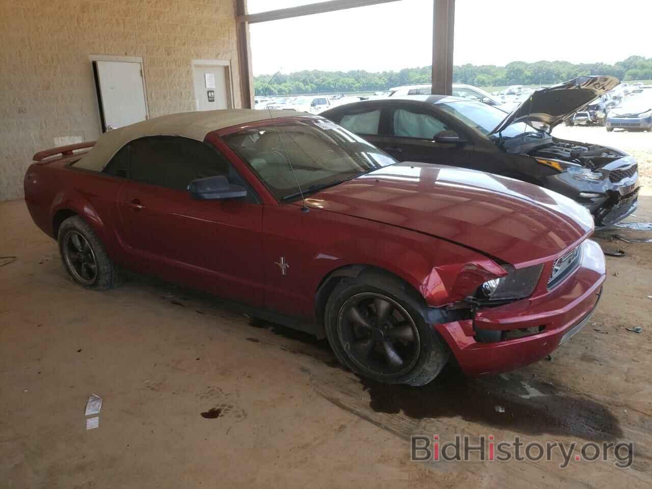 Photo 1ZVHT84N965250621 - FORD MUSTANG 2006