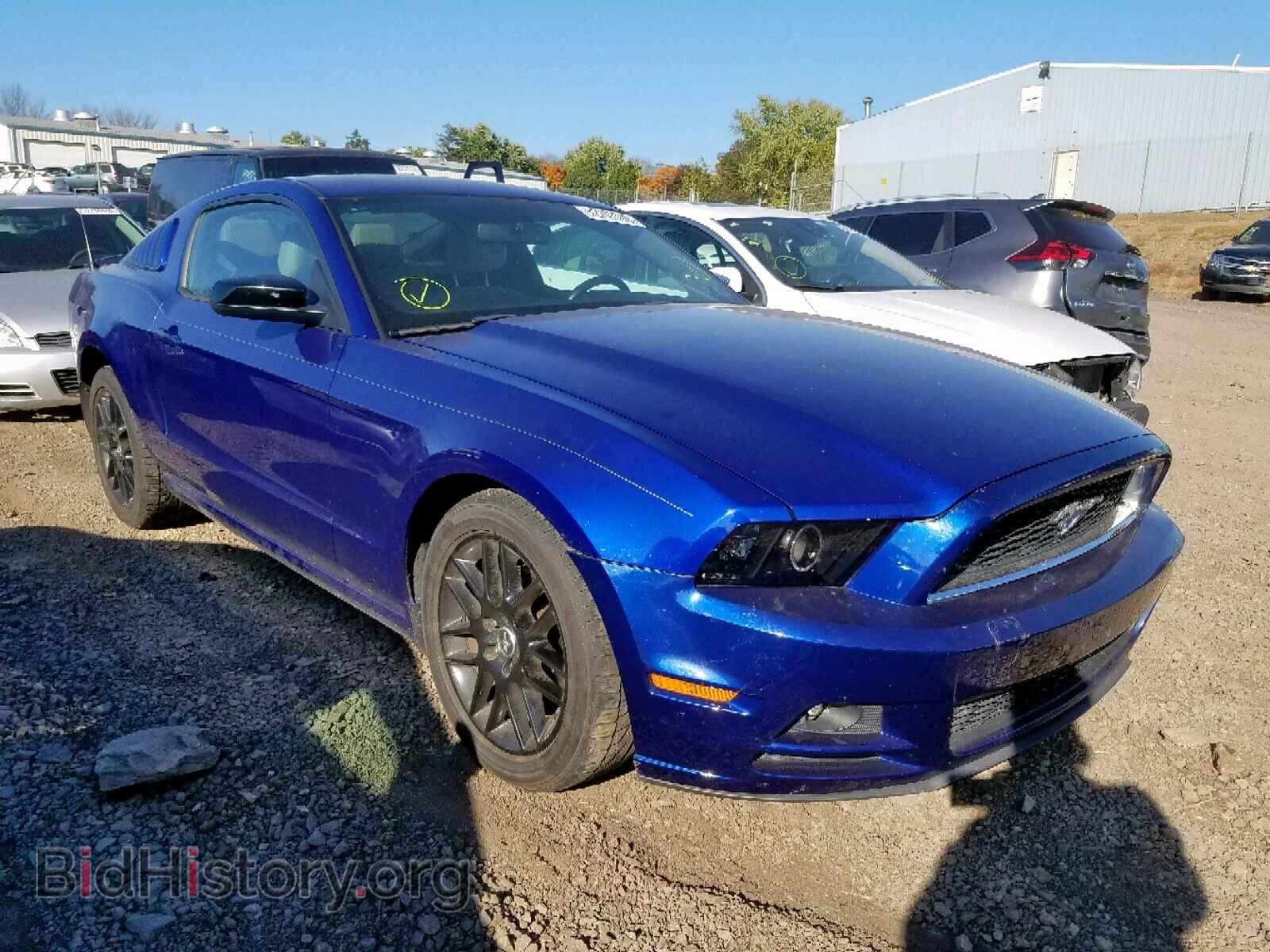 Photo 1ZVBP8AM4E5202660 - FORD MUSTANG 2014