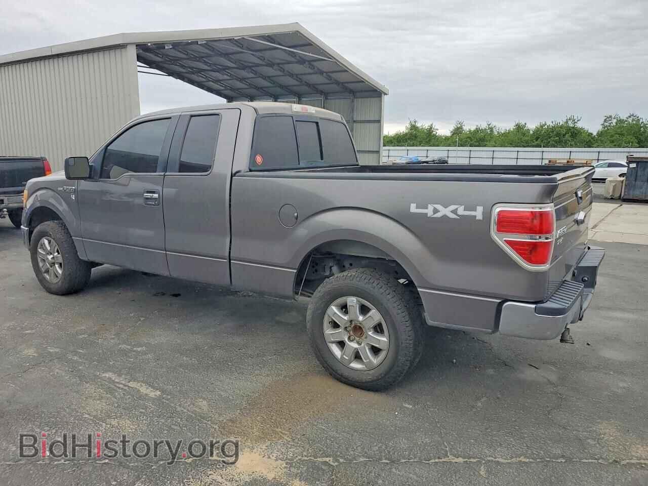 2013 FORD F150 - VIN: 1FTFX1EF7DFB98491 - Фото 2