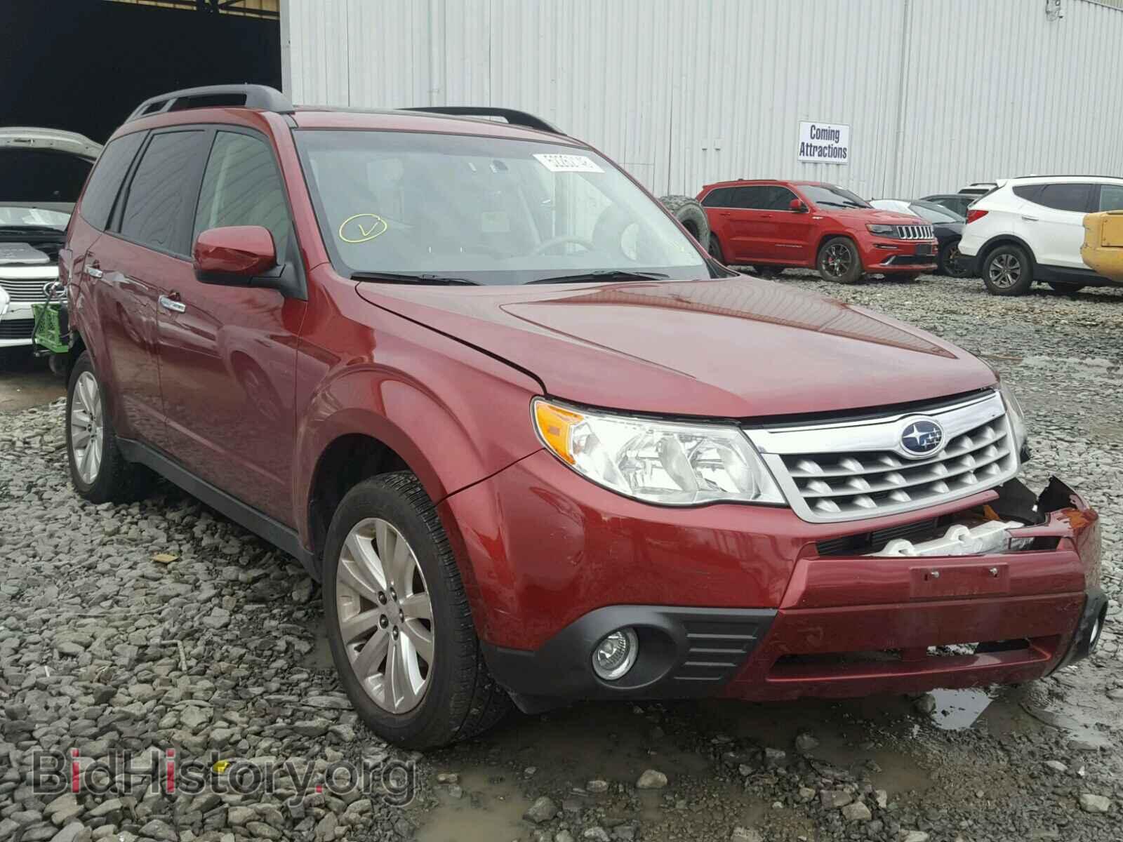 Photo JF2SHAEC8BH717407 - SUBARU FORESTER 2011