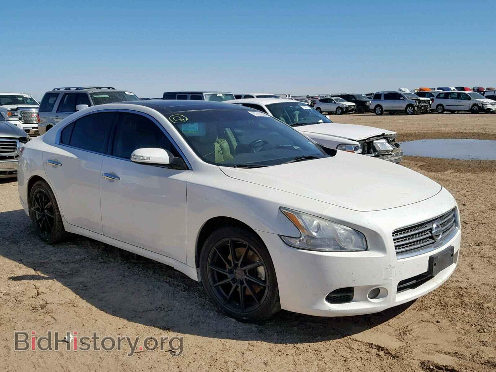 Фотография 1N4AA5AP0BC847019 - NISSAN MAXIMA 2011