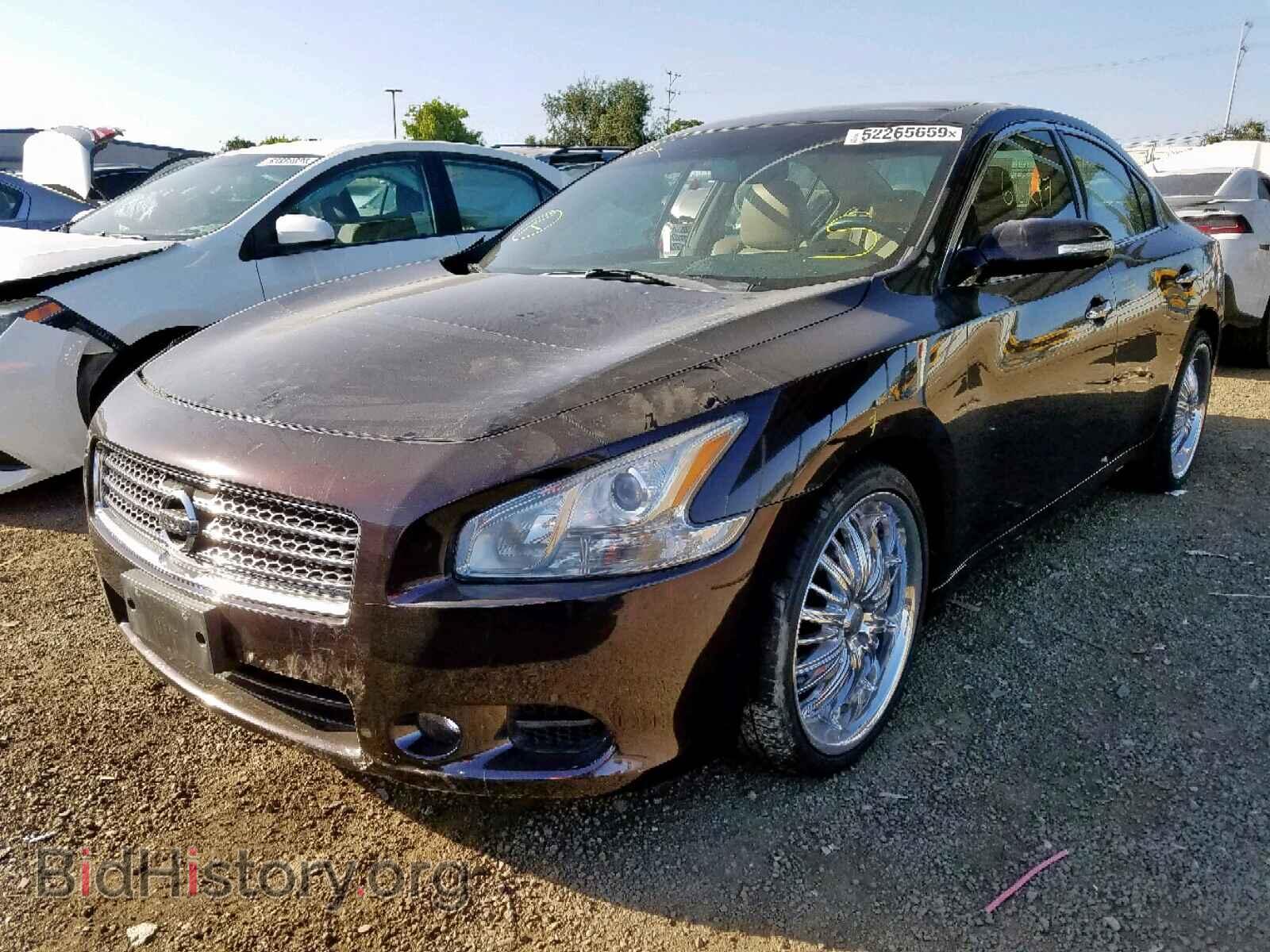 2010 NISSAN MAXIMA S - VIN: 1N4AA5AP9AC801414 - Фото 2
