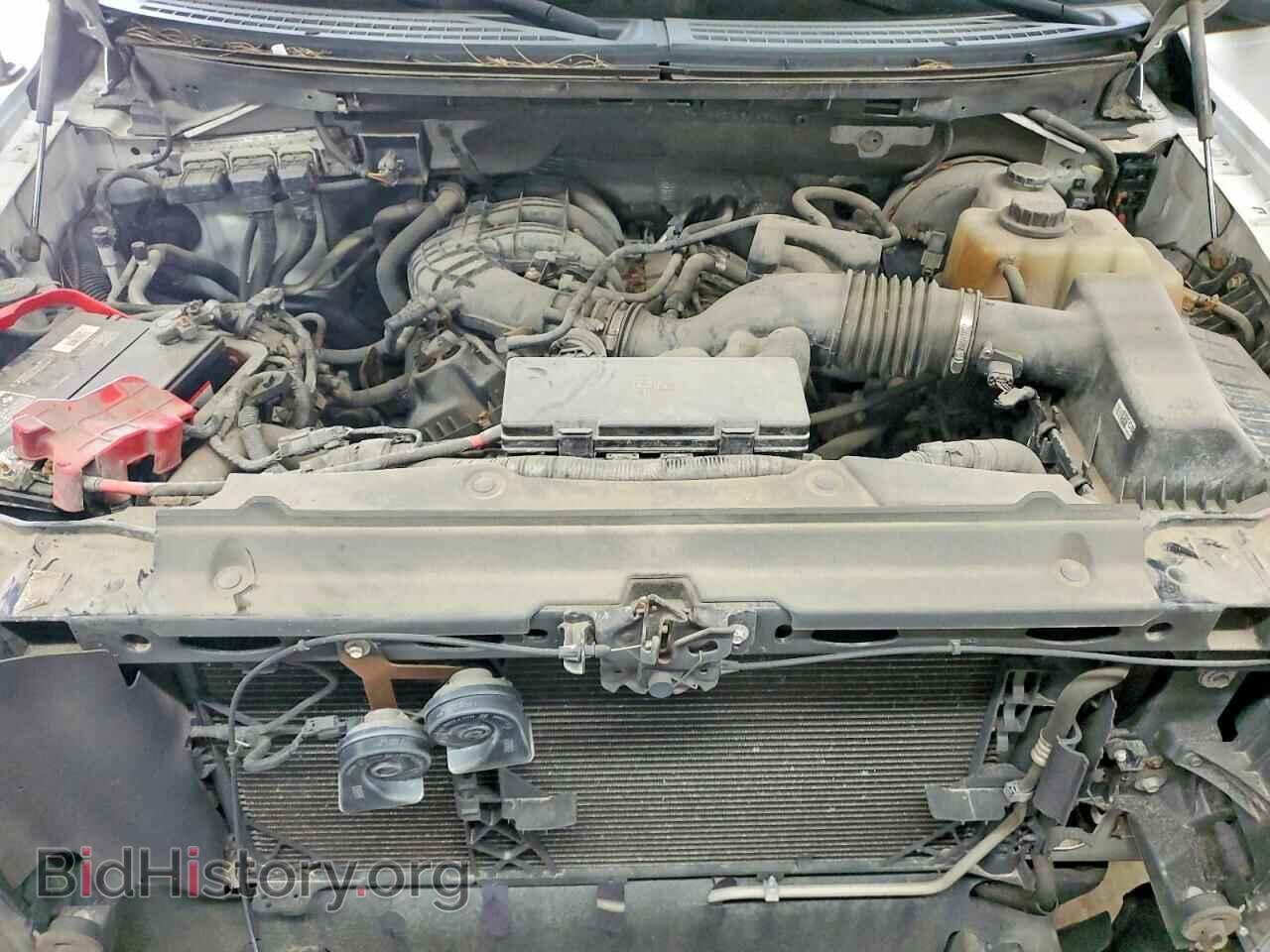 2013 FORD F150 - VIN: 1FTMF1CM2DKD91876 - Фото 12