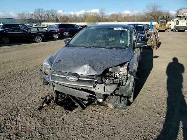 2014 FORD FOCUS - VIN: 1FADP3N25EL412032 - Фото 11