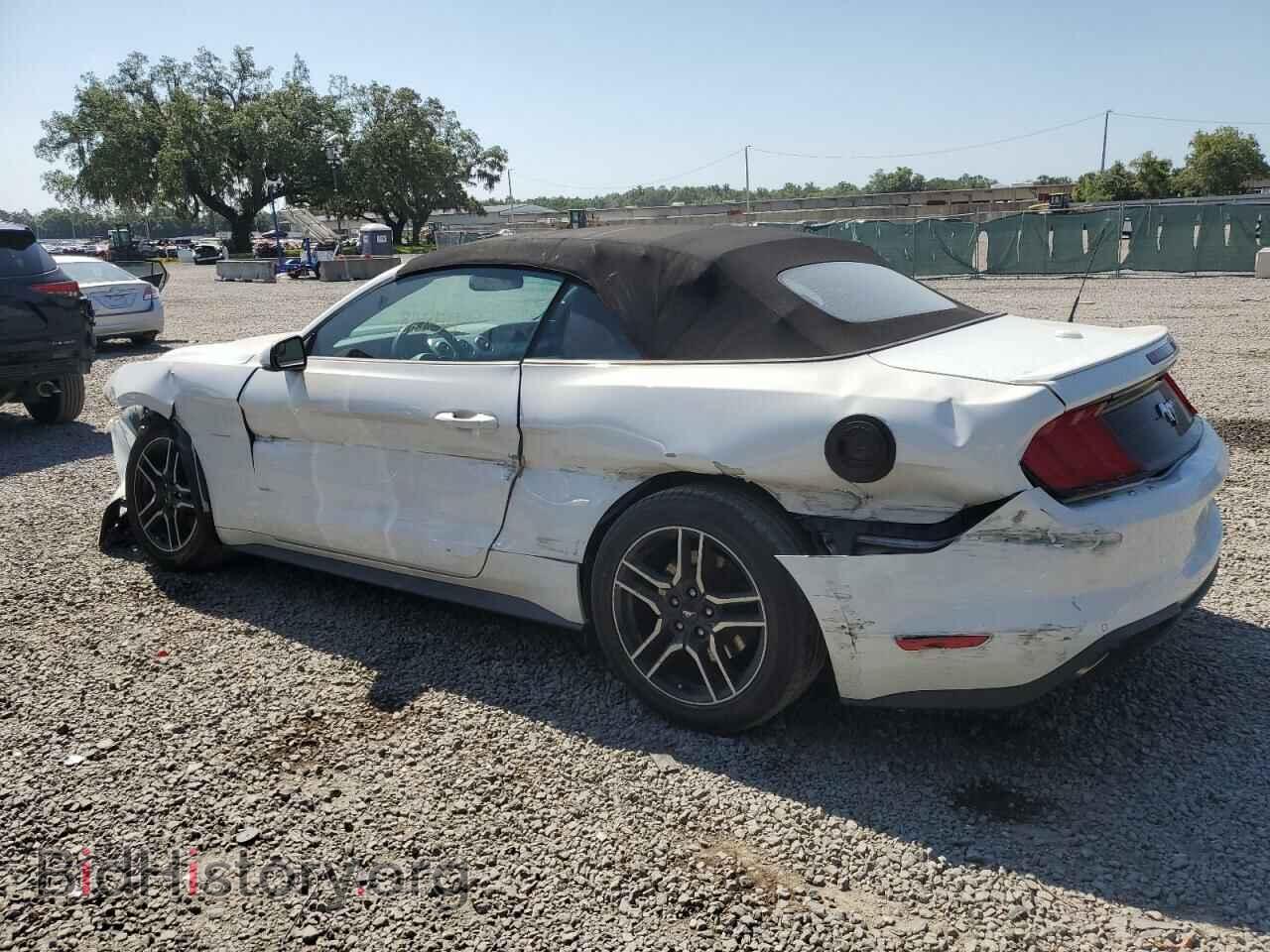 2019 FORD ALL Models - VIN: 1FATP8UH6K5109212 - Photo 2