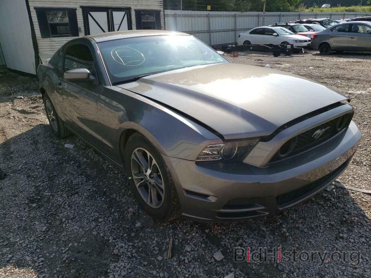 Photo 1ZVBP8AM4E5201329 - FORD MUSTANG 2014