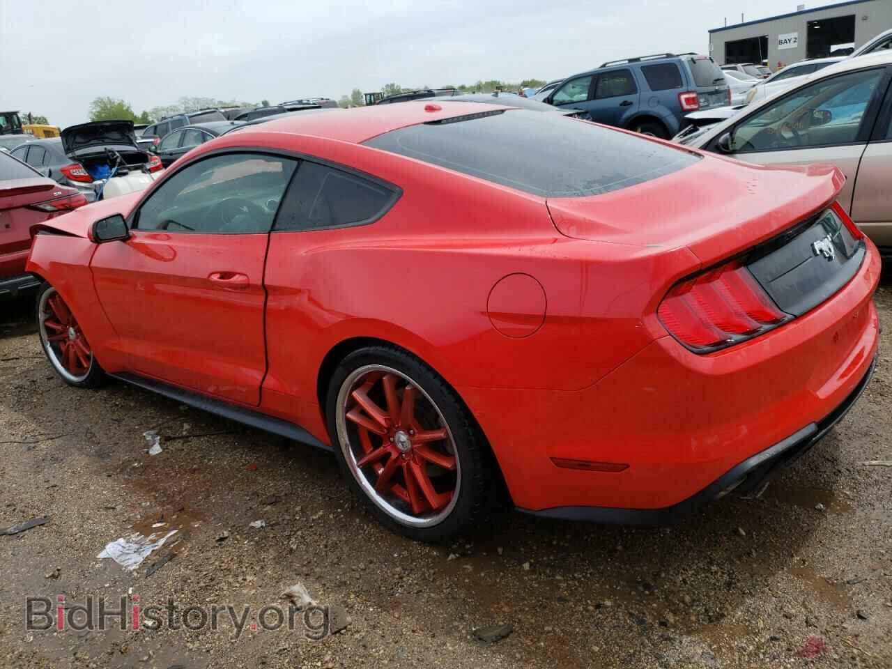 2019 FORD ALL Models - VIN: 1FA6P8TH9K5110045 - Фото 2