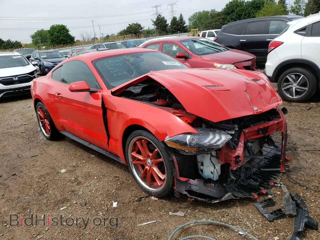 2019 FORD ALL Models - VIN: 1FA6P8TH9K5110045 - Фото 4
