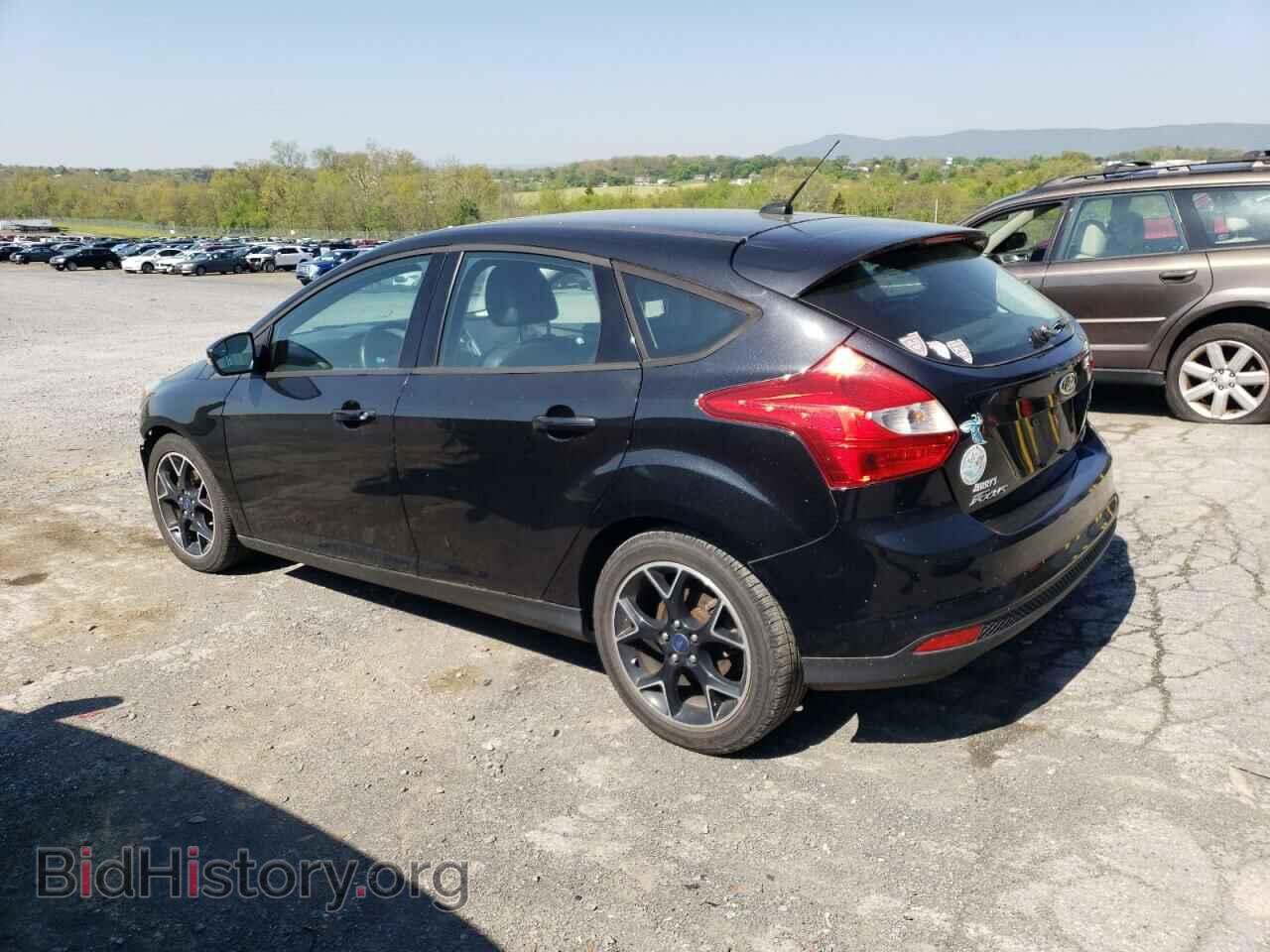 2013 FORD FOCUS - VIN: 1FADP3K28DL231445 - Фото 2