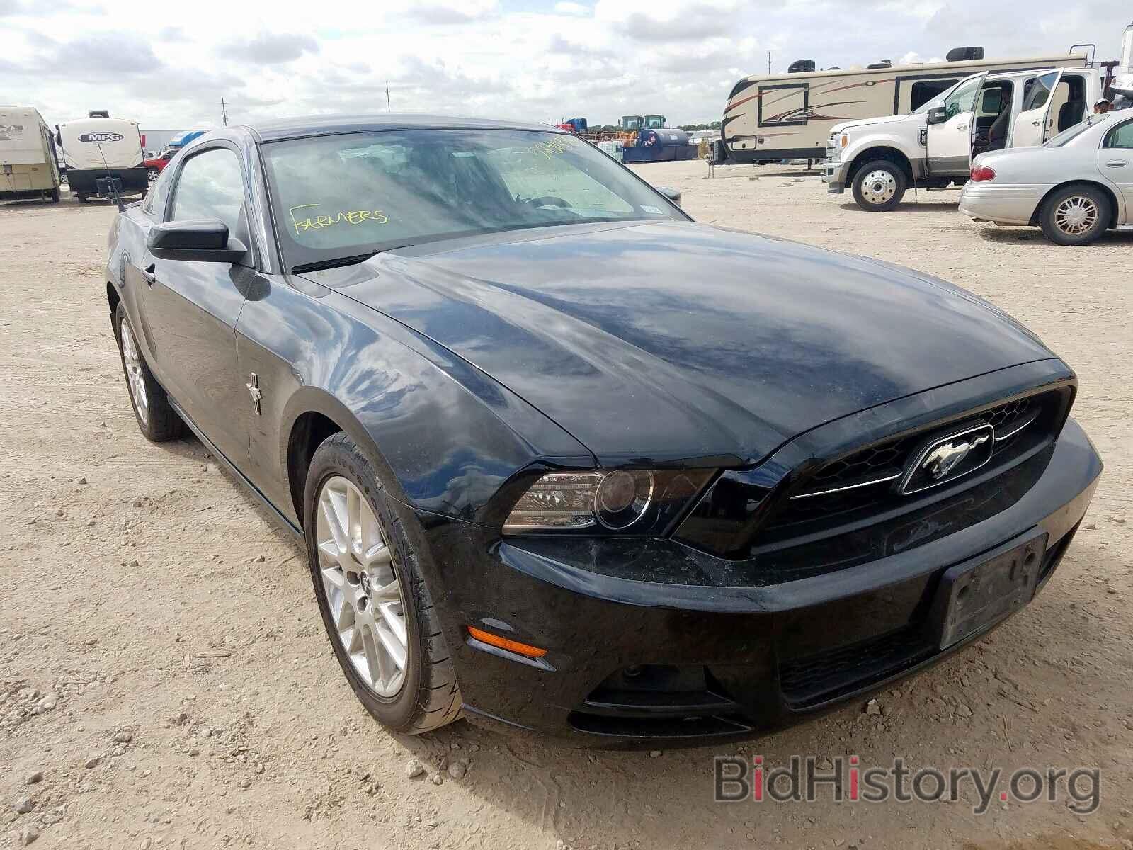 Photo 1ZVBP8AMXD5270668 - FORD MUSTANG 2013