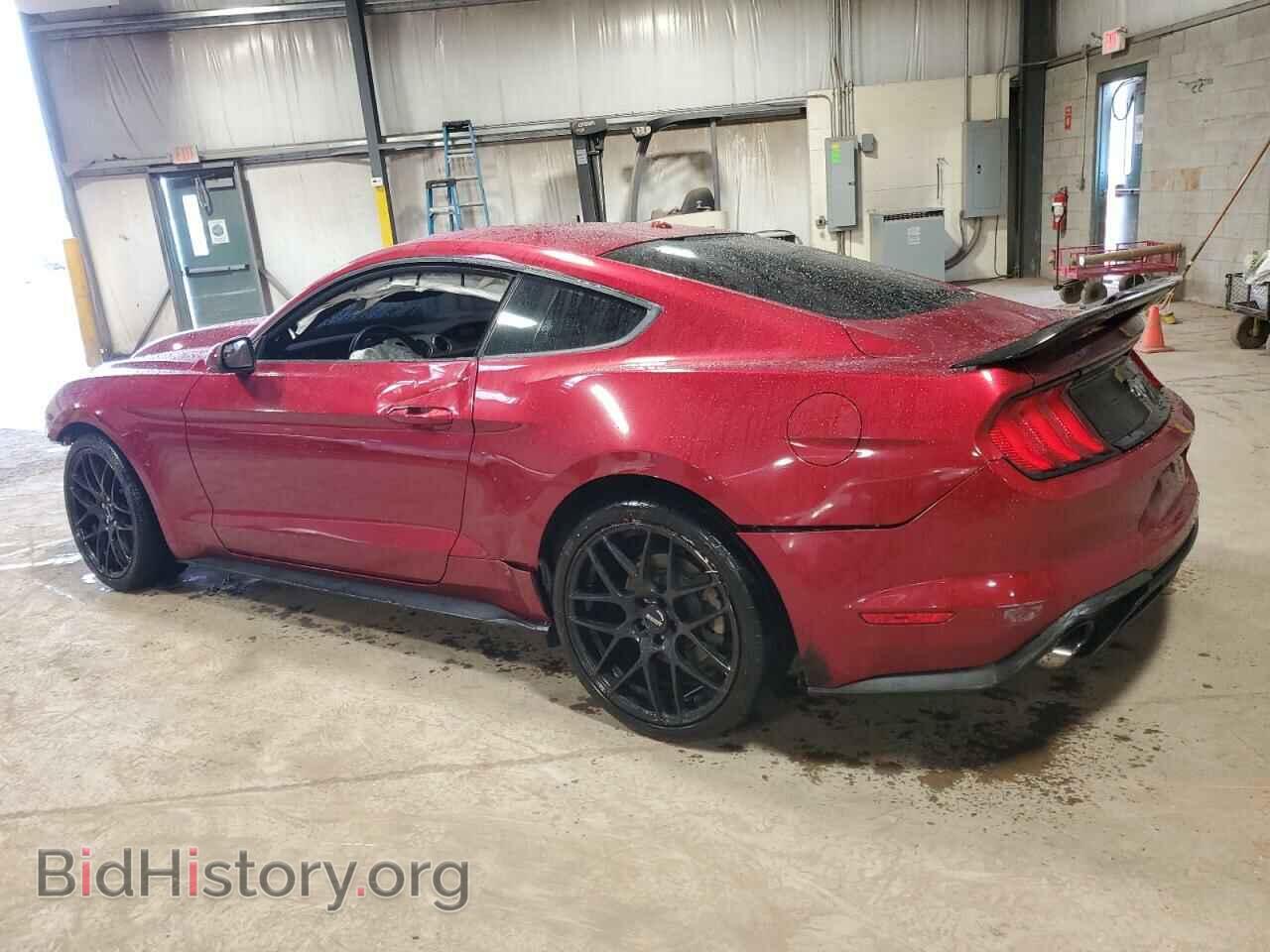 2019 FORD ALL Models - VIN: 1FA6P8TH8K5133445 - Фото 2