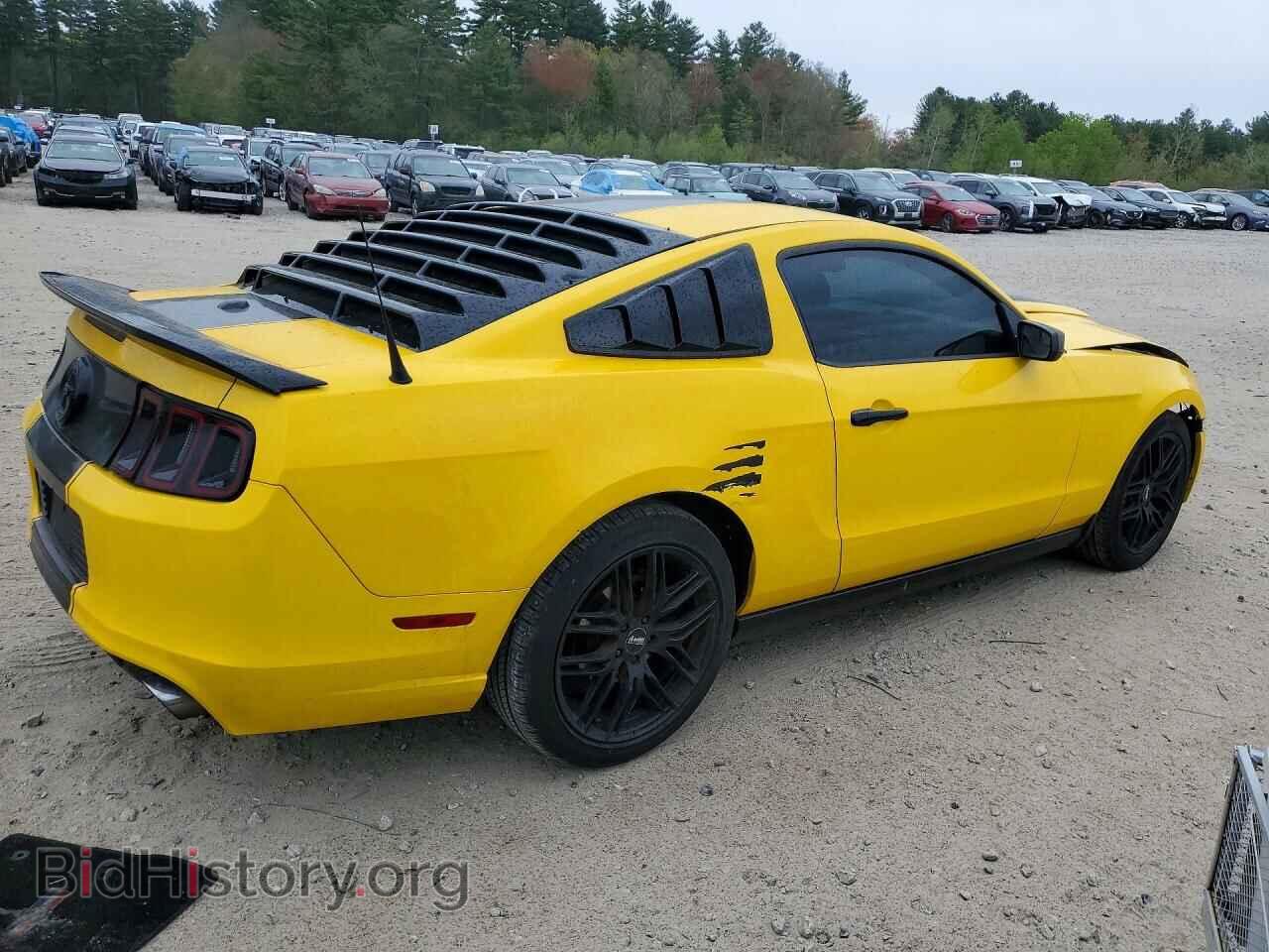 2013 FORD MUSTANG - VIN: 1ZVBP8AMXD5260447 - Фото 3