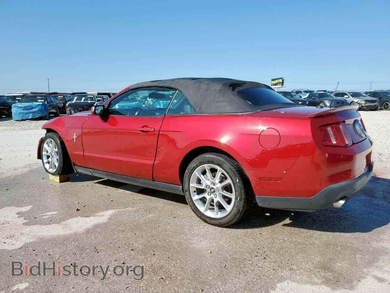 2011 FORD ALL Models - VIN: 1ZVBP8EM8B5141769 - Photo 2