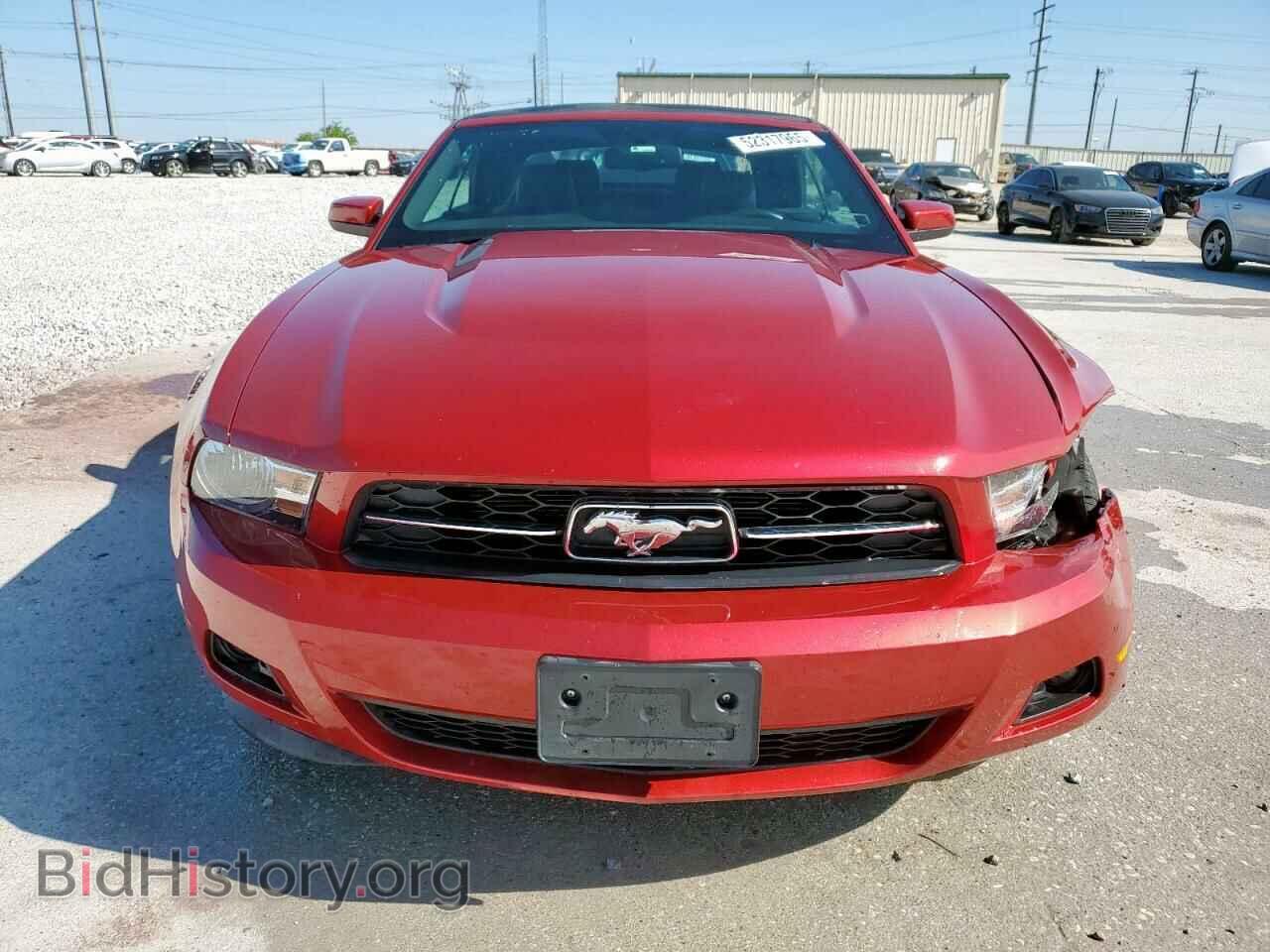 2011 FORD ALL Models - VIN: 1ZVBP8EM8B5141769 - Photo 5