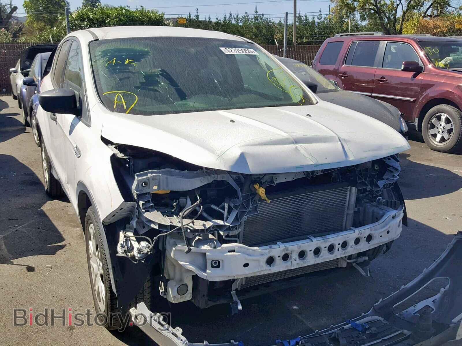 Фотография 1FMCU0F7XDUD72686 - FORD ESCAPE 2013