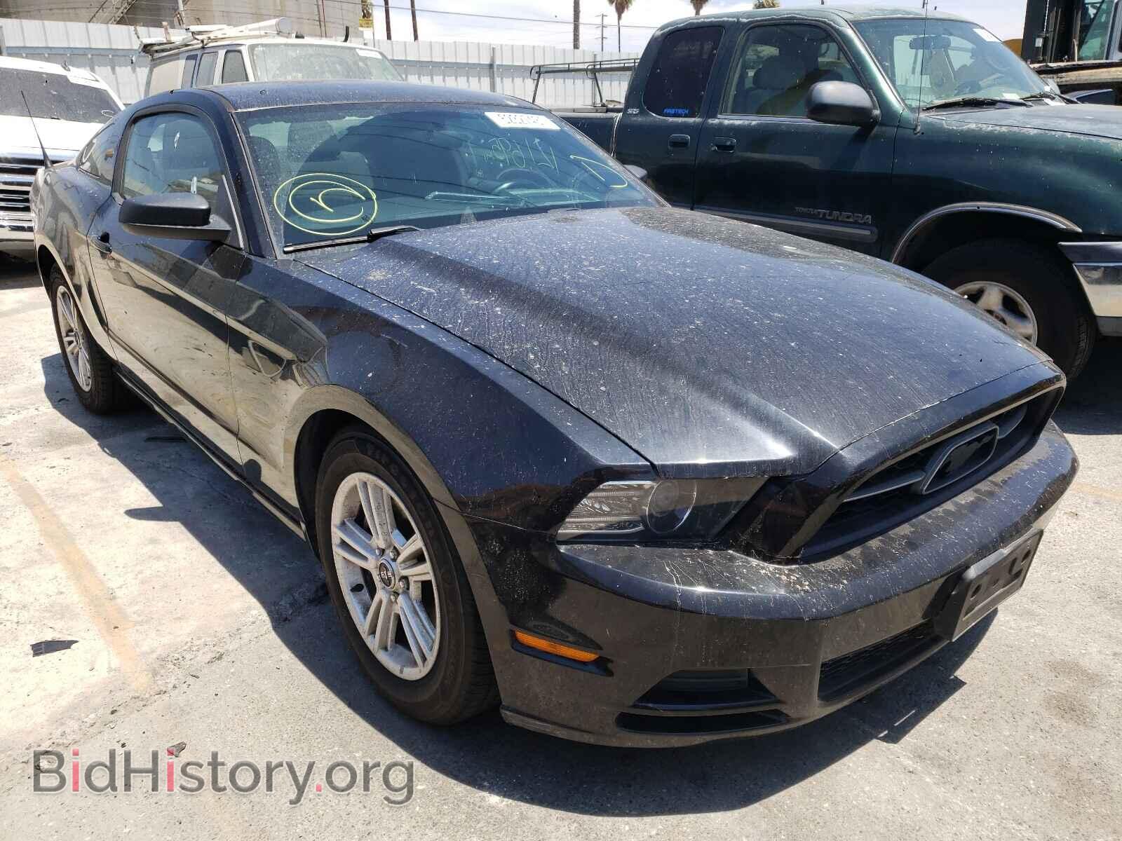 Photo 1ZVBP8AM5D5272134 - FORD MUSTANG 2013