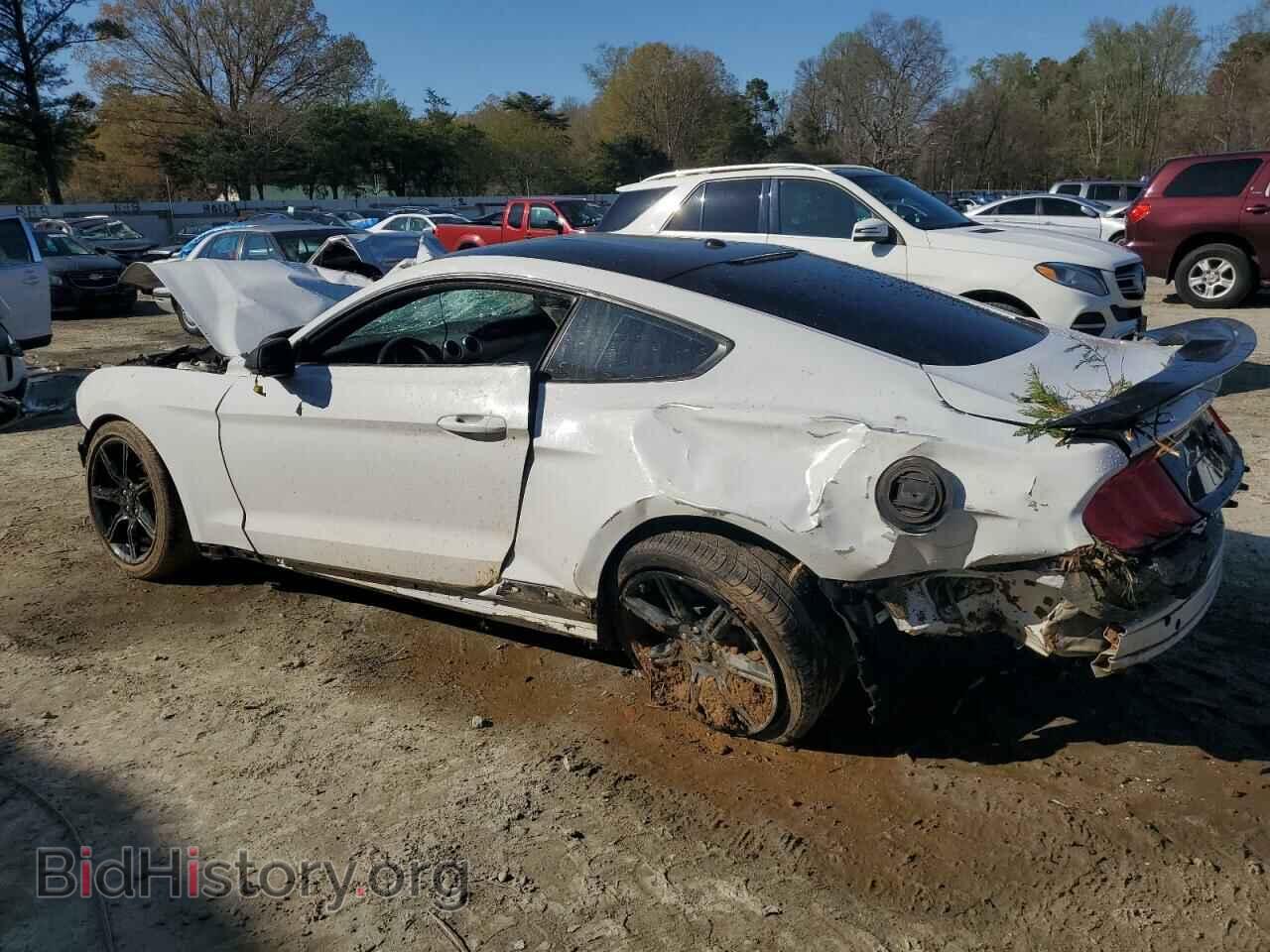 2019 FORD ALL Models - VIN: 1FA6P8TH0K5190920 - Photo 2