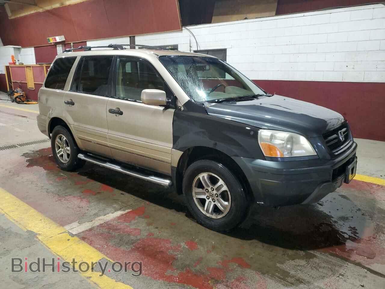 2005 HONDA PILOT - VIN: 5FNYF18685B063243 - Фото 4