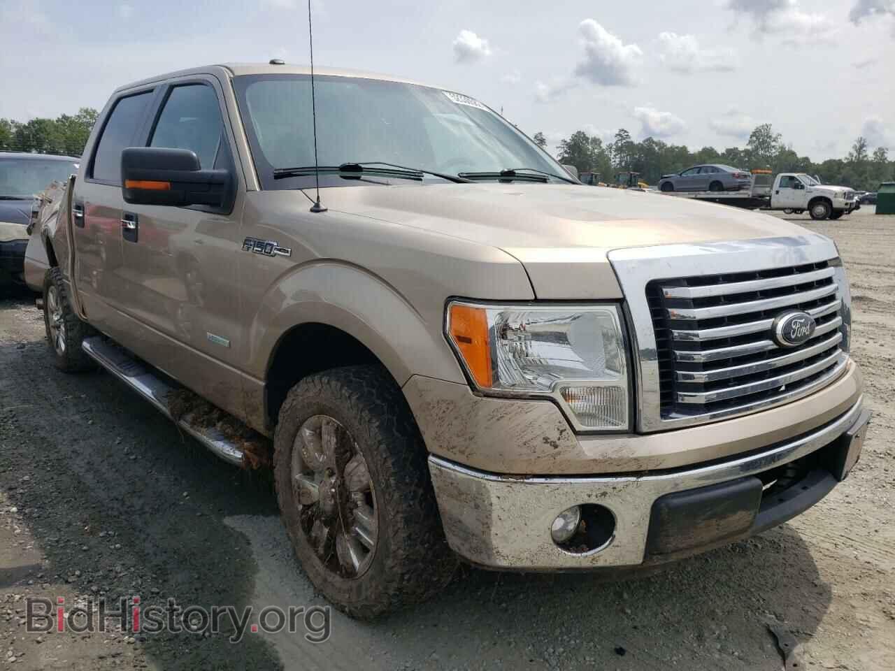 Фотография 1FTFW1CT9CFB05836 - FORD F-150 2012